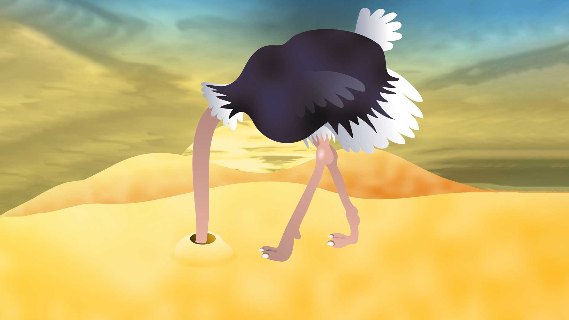 ostrich head in the sand 16.9